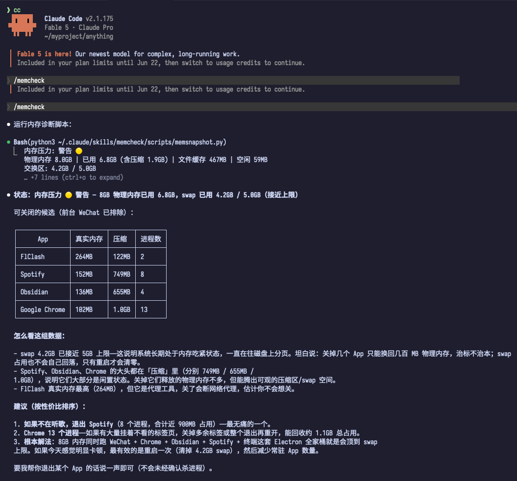 Claude Code 调用 memcheck 技能后输出的内存诊断结果